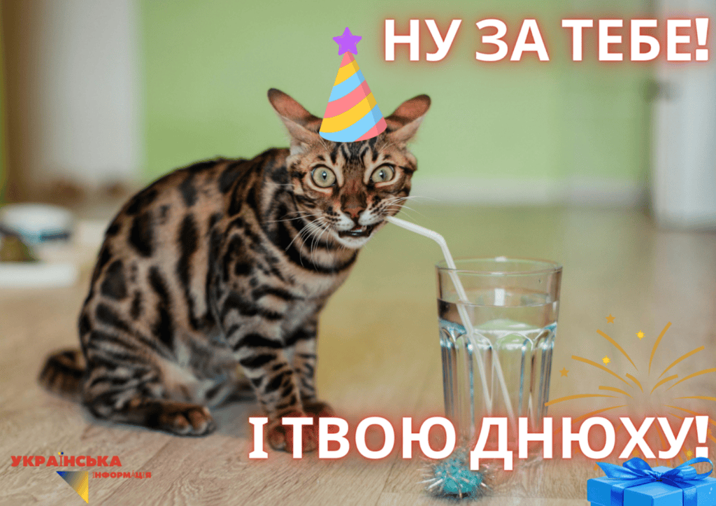 привітання з днем народження смішна картинка