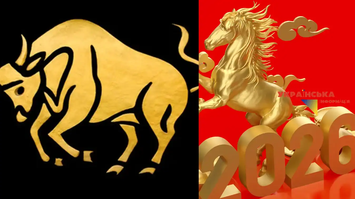 Horoscope for 2026 TAURUS