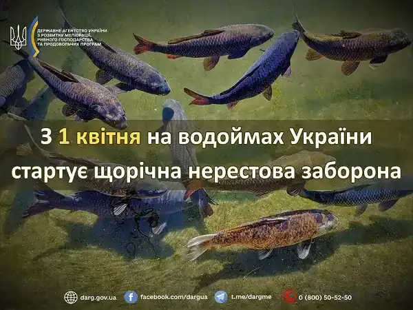 повідомлення, що діє нерестова заборона