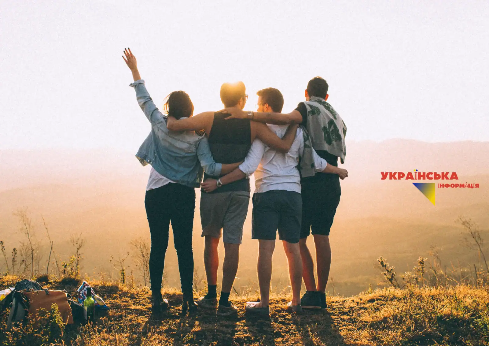What is friendship: work, essay