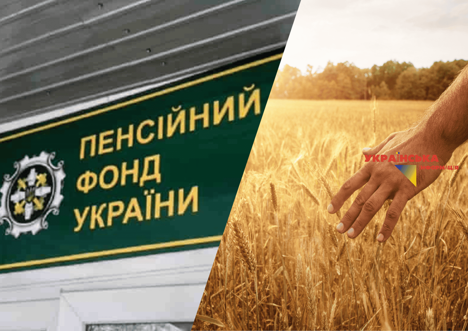 Чи призначать житлову субсидію, якщо член домогосподарства має земельний пай: розʼяснення ПФУ