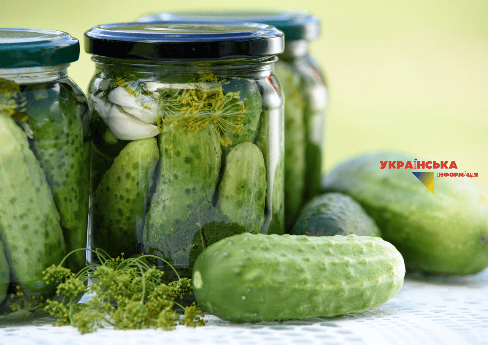 RECIPE: How to cover cucumbers to keep them crunchy and tasty in winter