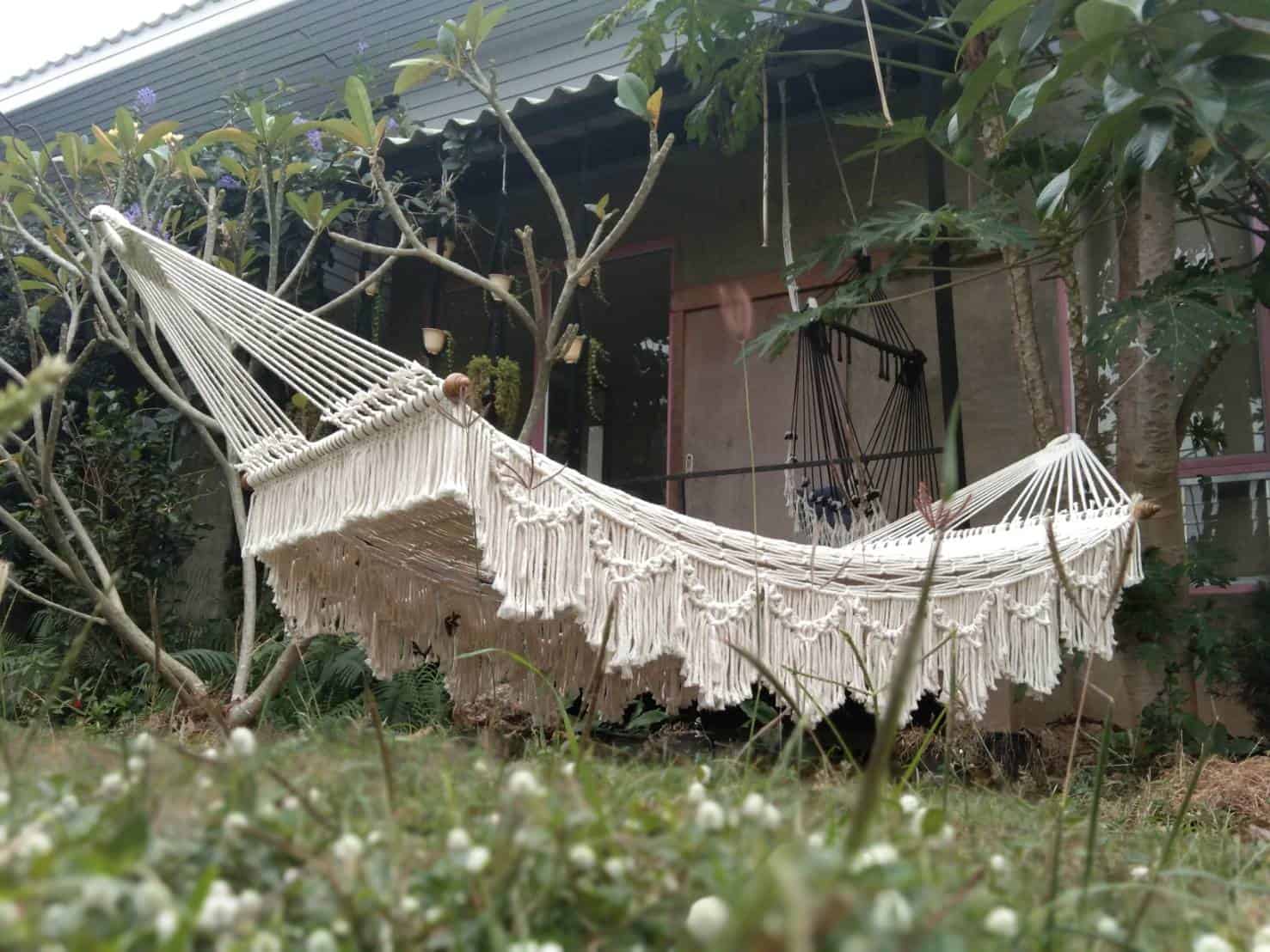 Delight Beige Fringe macrame rope hammock with extensive tassel and scallop detailing, hung between trees in a lush backyard garden.