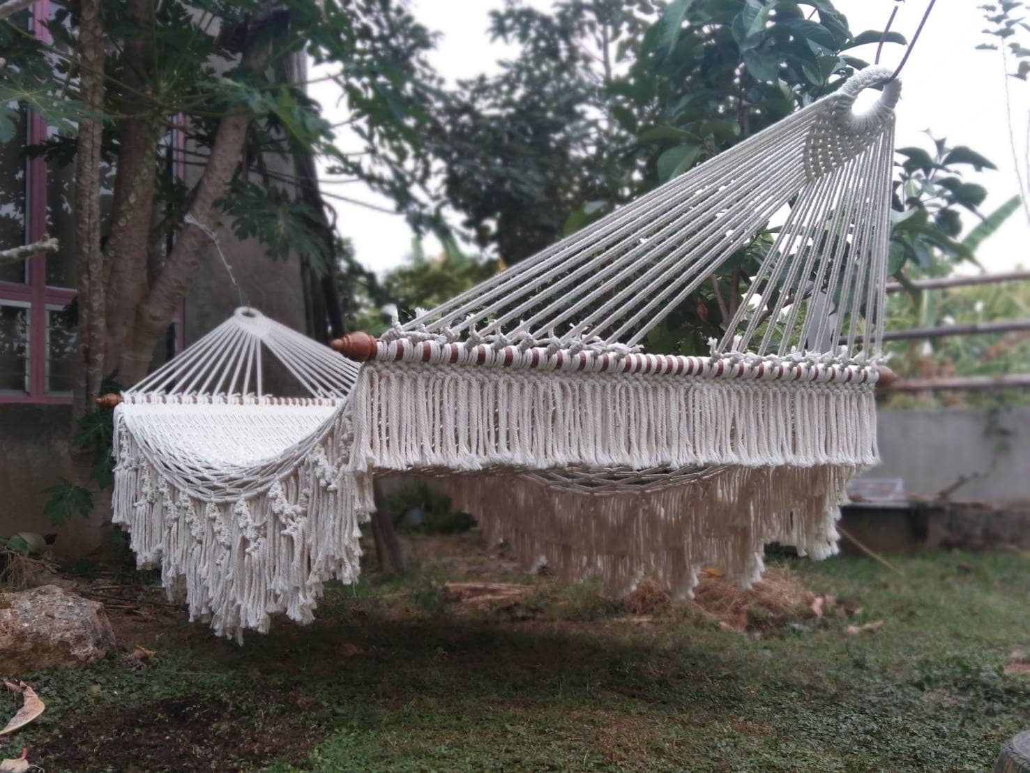 Delight Beige Fringe macrame rope hammock with extensive tassel and scallop detailing, hung between trees in a lush backyard garden.