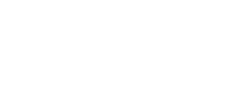 Partners IMG Slow logo