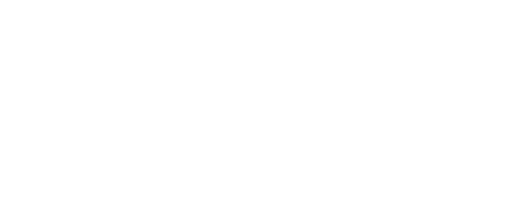 Partners IMG Vegas Marco logo