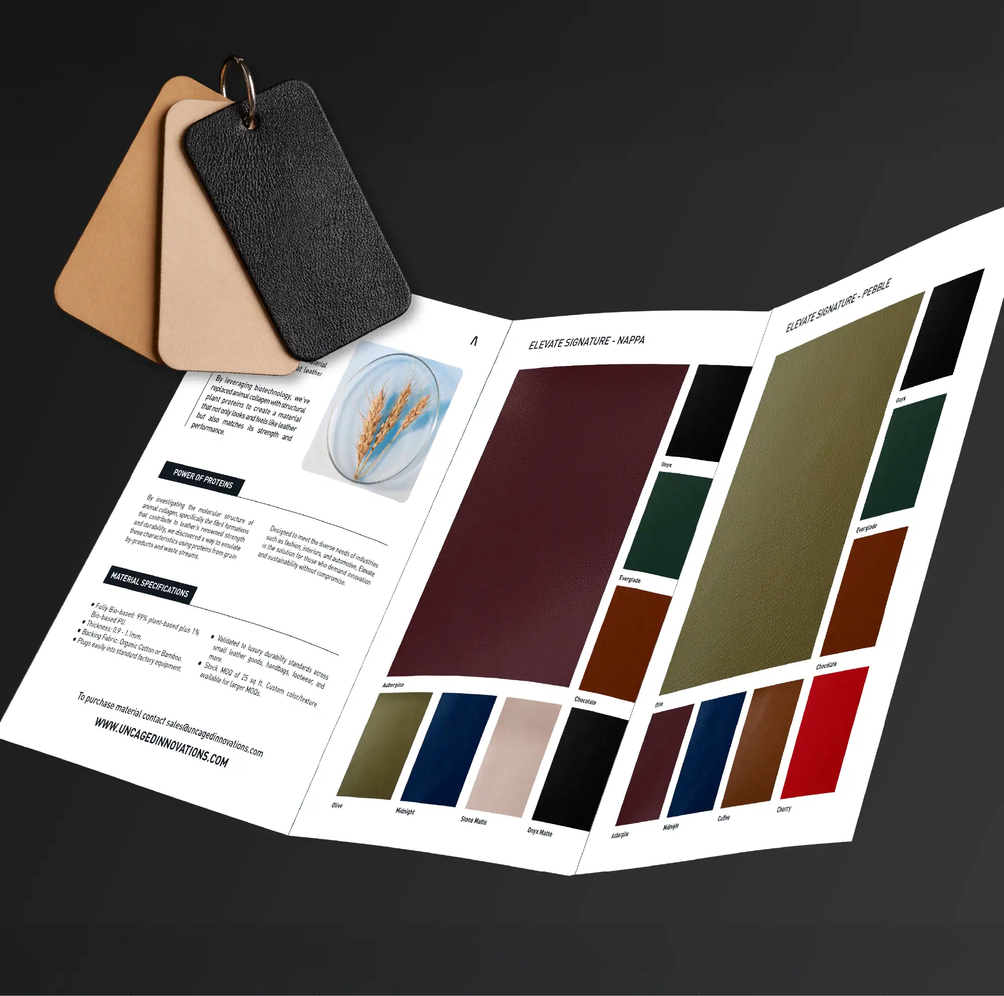 ELEVATE Swatchbook