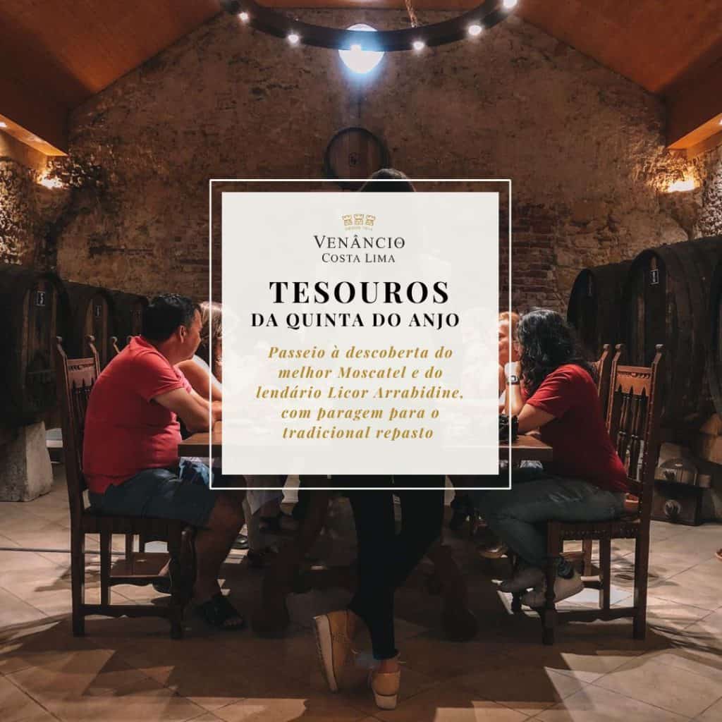 Tesouros da Quinta do Anjo no Vinâncio da Costa Lima, experiência de degustação de Moscatel e Licor Arrabidine, tradicional e confortável espaço de provas de vinhos em ambiente rústico e acolhedor.