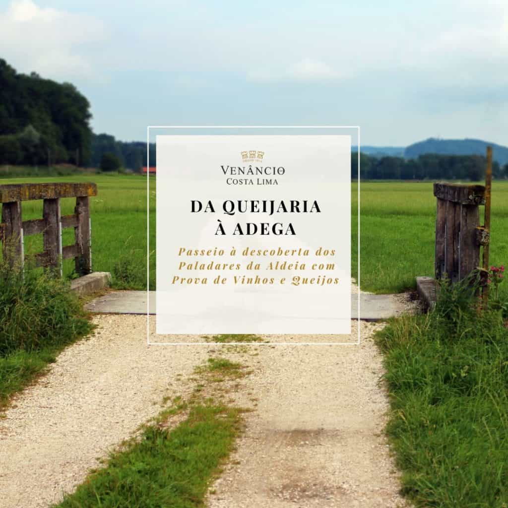 Paisagem rural com estrada de terra, portões de madeira e campos verdes, promovendo turismo enológico e experiências com vinhos e queijos na região de Venâncio Costa Lima.
