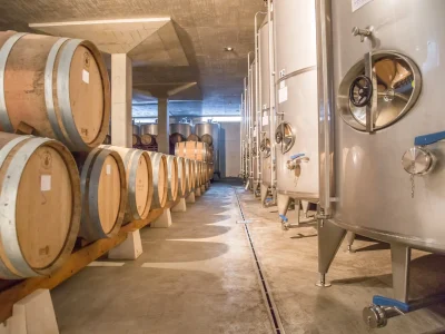 Barricas de envelhecimento de vinho em adega, ambiente de produção vinícola na Vinícola Venâncio da Costa Lima, destaque para tanques de fermentação em aço inox, foco na produção de vinhos de alta qualidade no Douro.