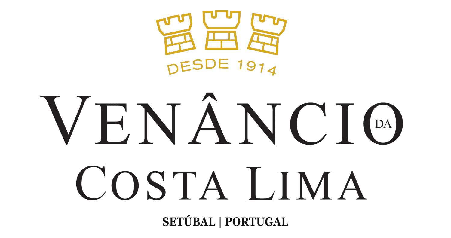 logo dark