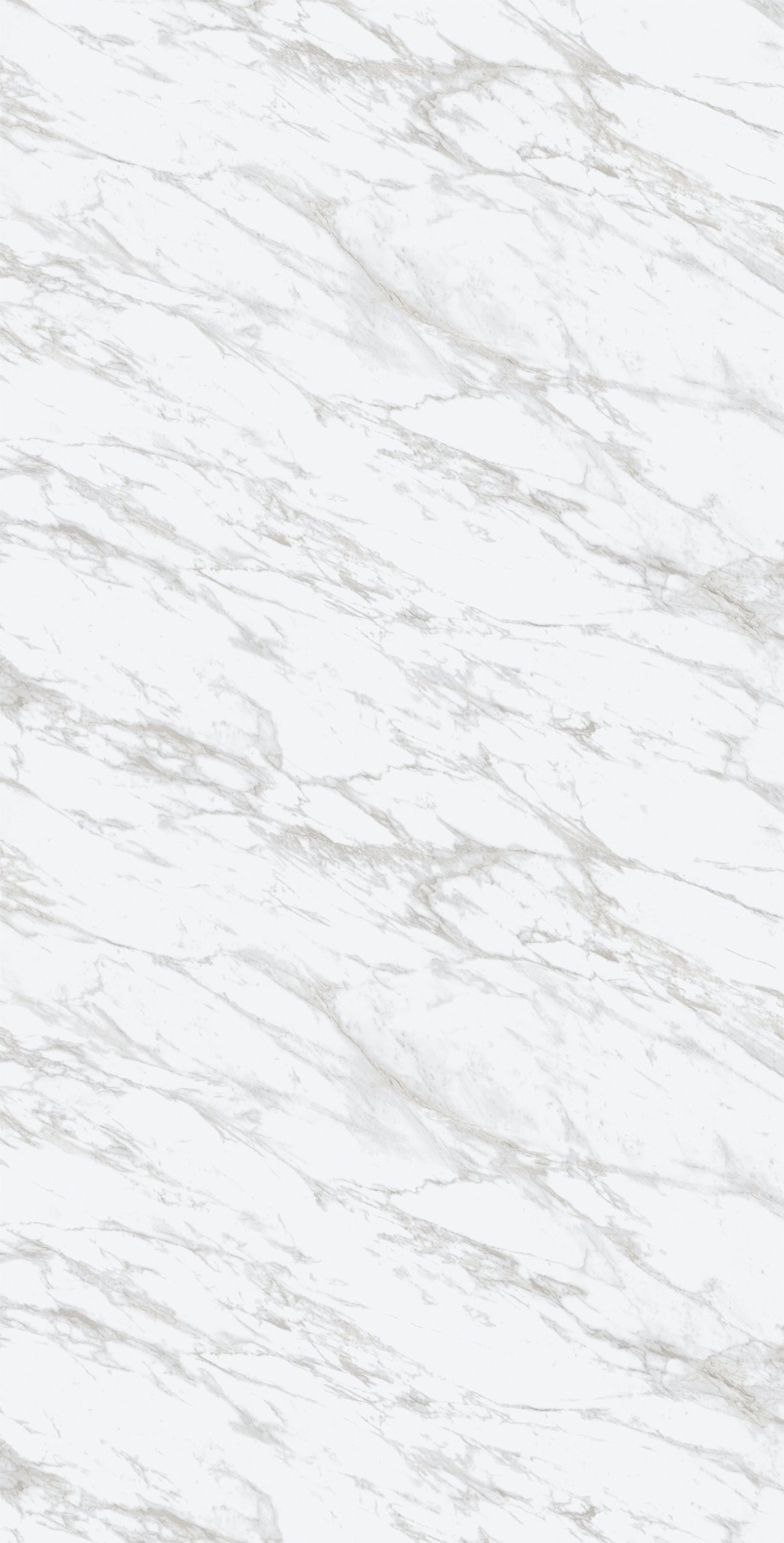 White marble with gray veining pattern