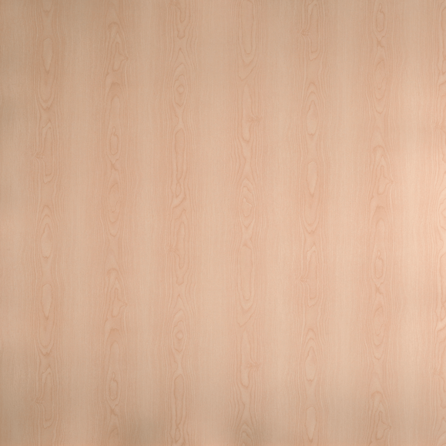 5000 Sorena Maple