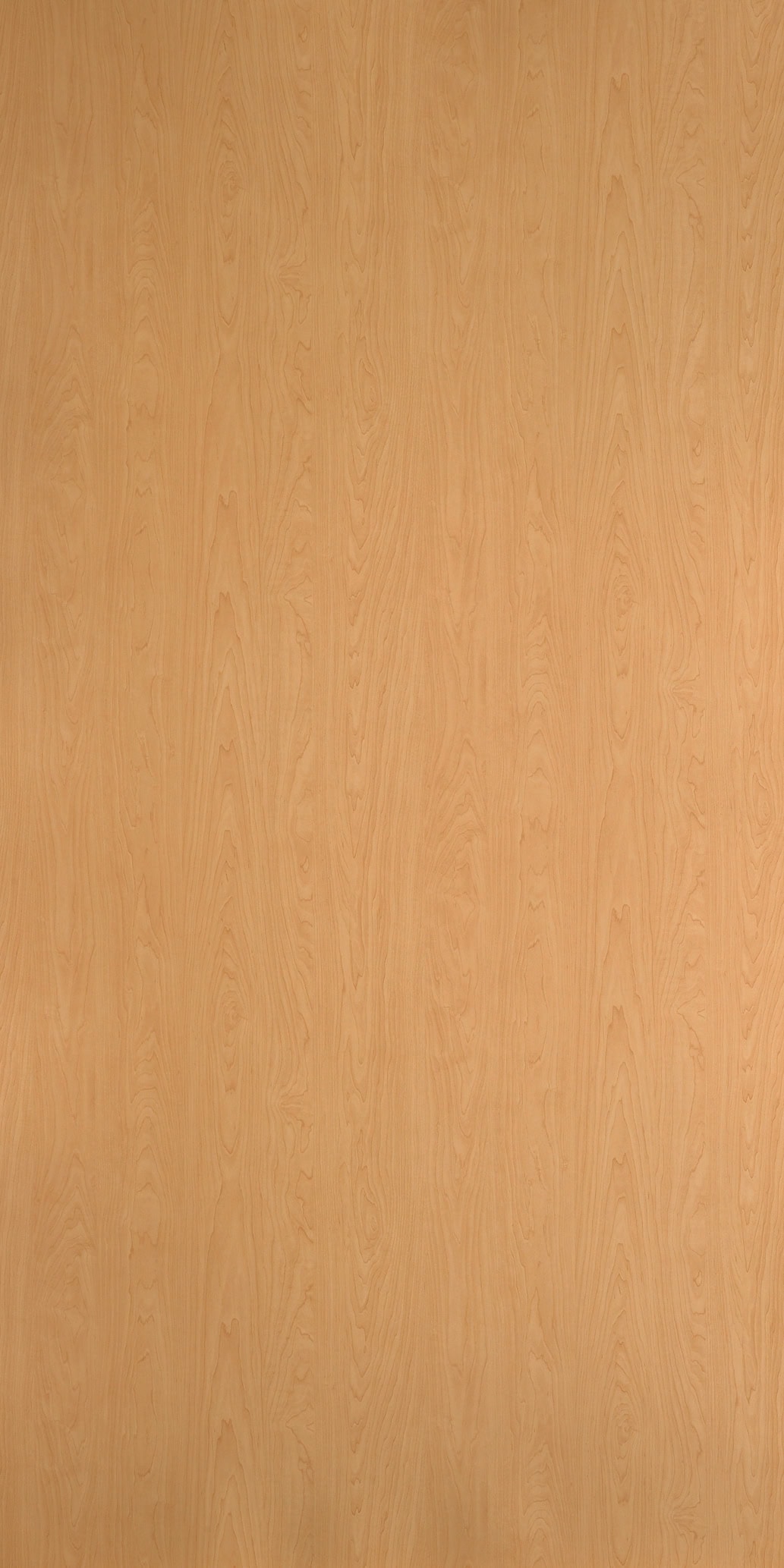 Brisa Maple - Image 2