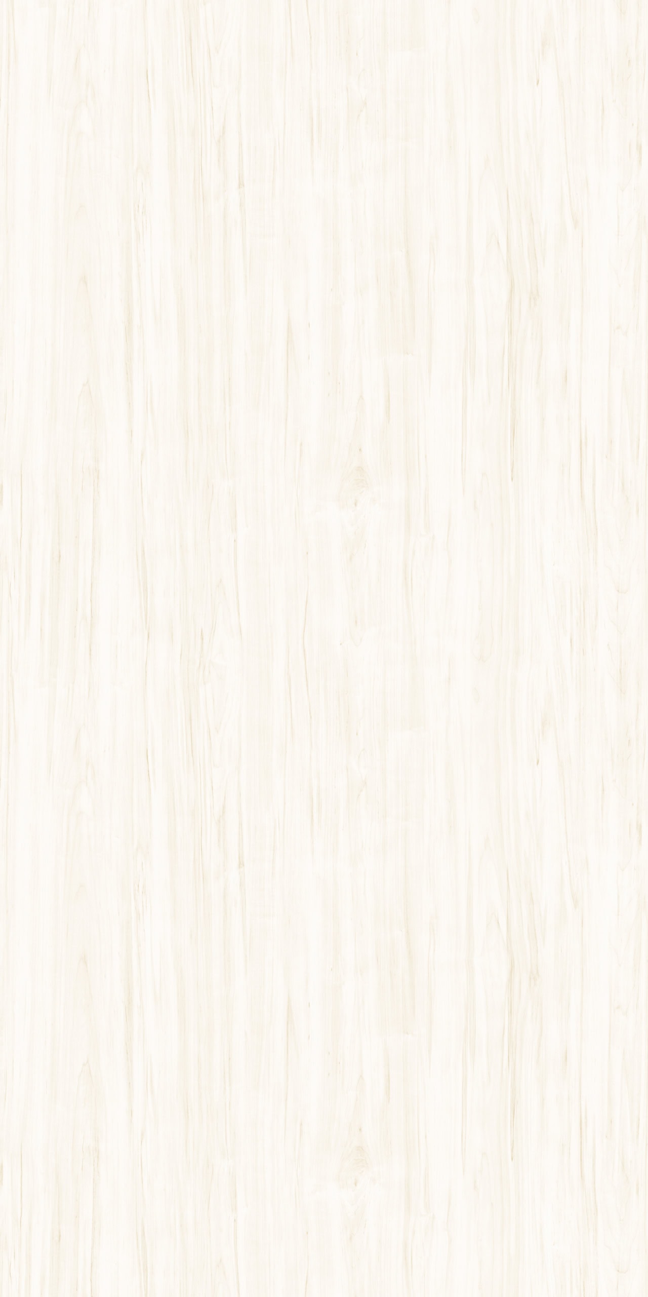 Riva Elm - Image 2