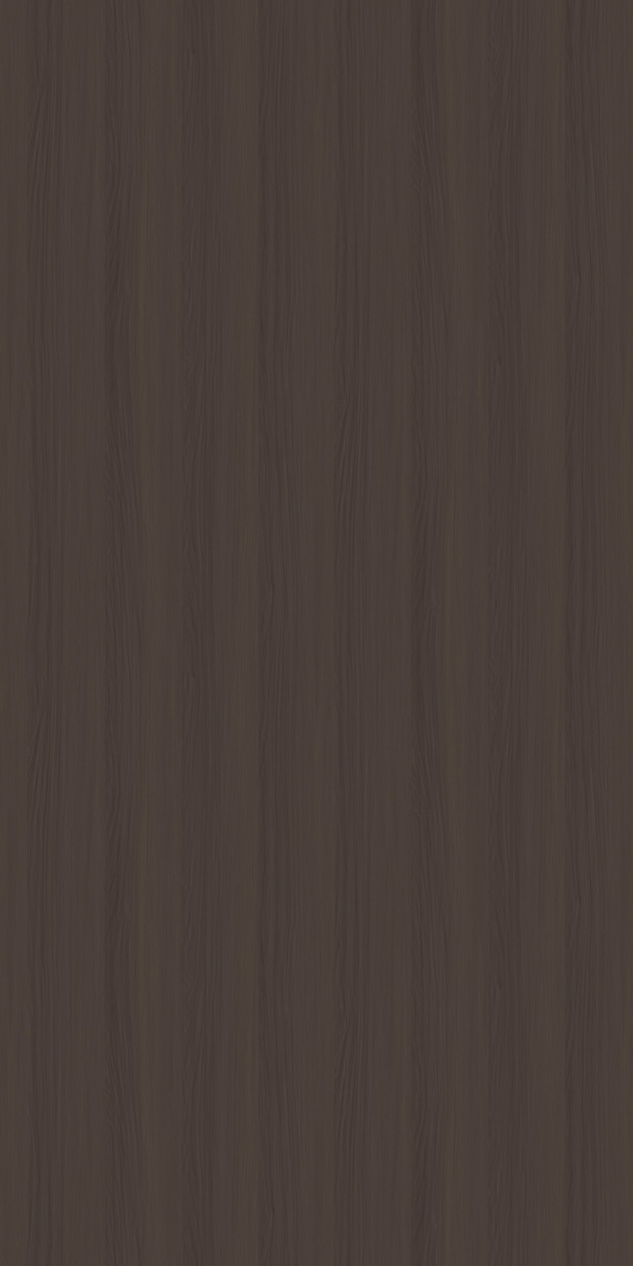 Loren Walnut - Image 2
