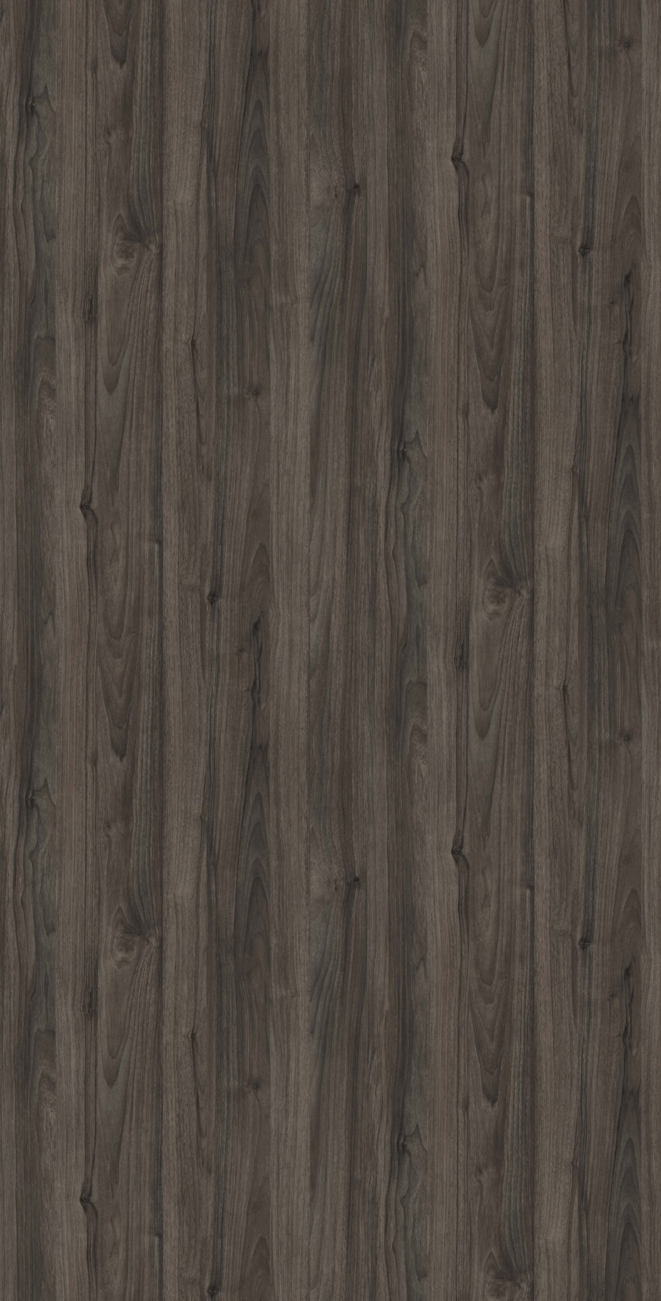 Roasted Walnut - Image 2
