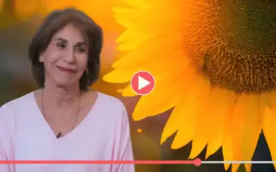 L’Esprit du Solstice d’été 2026 • Bulletin-vidéo AFR