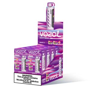 Vozol Gear Shisha 25000 Grape Ice – Bild 3