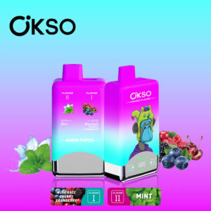 OKSO Double Flavor 60000 Blue Razz Cherry Cranberry/Mint