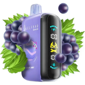 ELF BAR RAYA D3 25000 Grape Mint