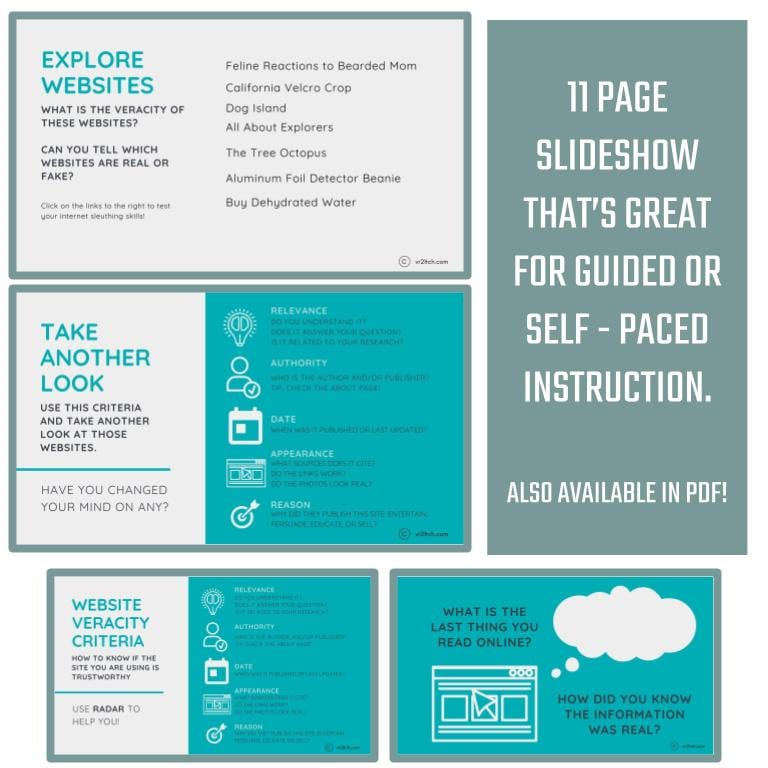 Website Evaluation Introduction Lesson - Image 2