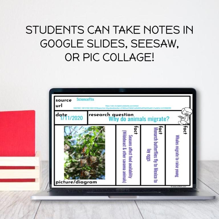 Third Grade Research Skills: BUNDLE - Image 7