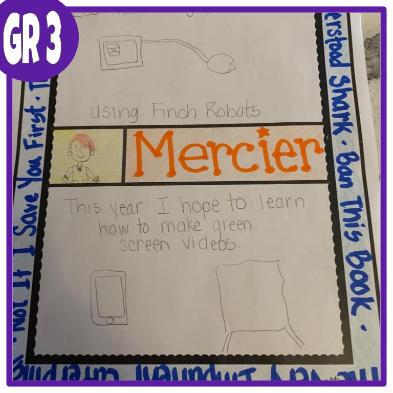 Library Goal Setting: Grades 3, 4 - Image 3