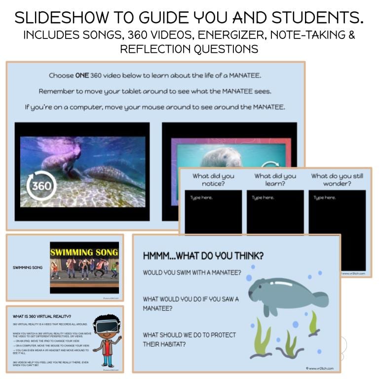 Manatee Virtual Field Trip - Image 3