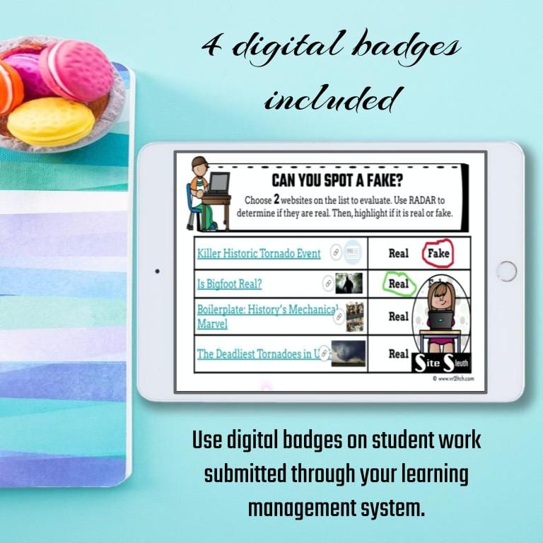 Website Evaluation BUNDLE - Image 13