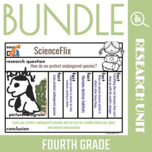 Fourth Grade Research Skills: BUNDLE