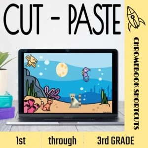 CUT - PASTE SHORTCUT PRACTICE
