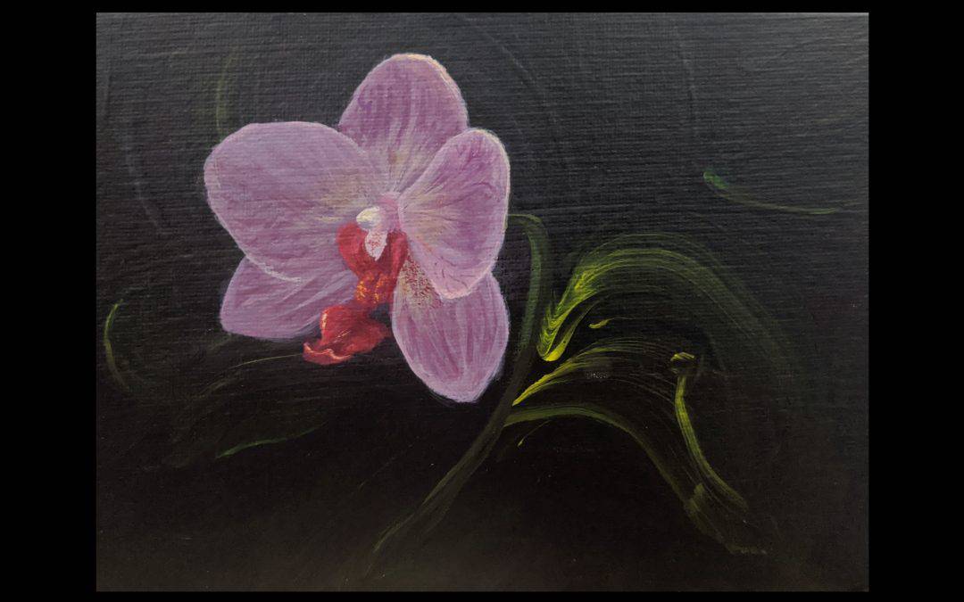 Orchid