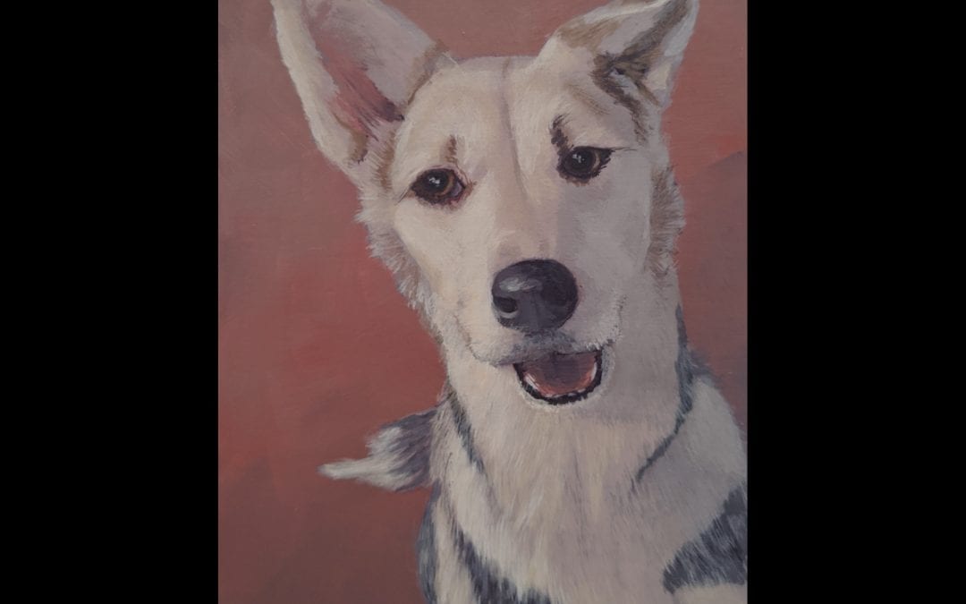 Chewie: Dog Portrait
