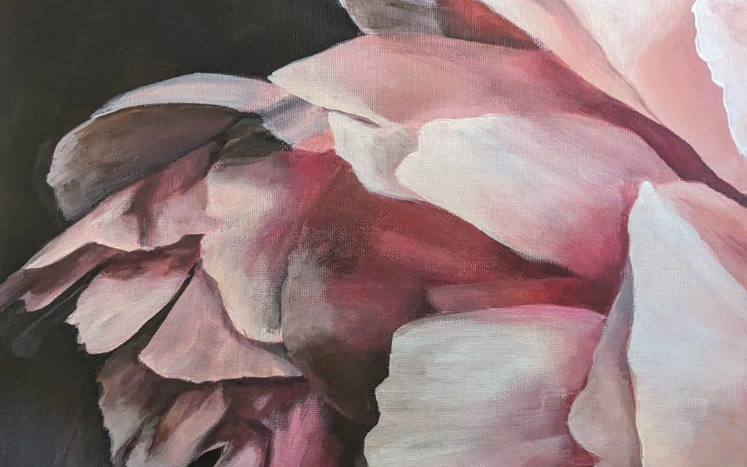 Close Up Flower Study