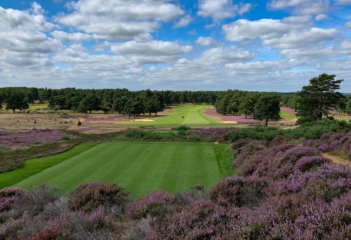 Hankley Common