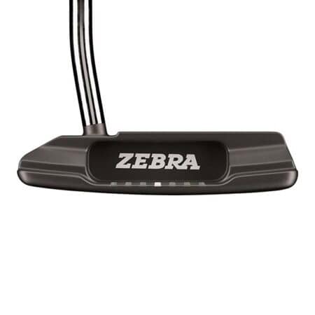 Zebra Back