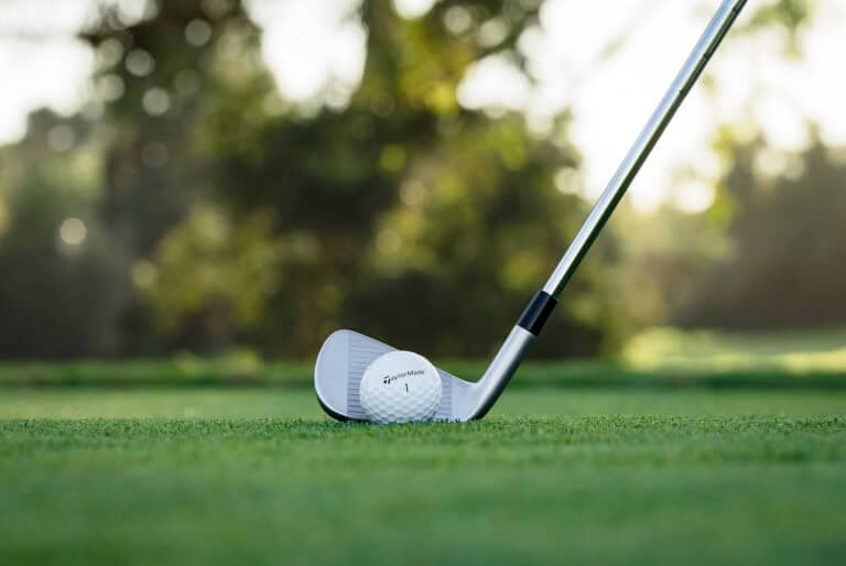 TaylorMade P·790 irons