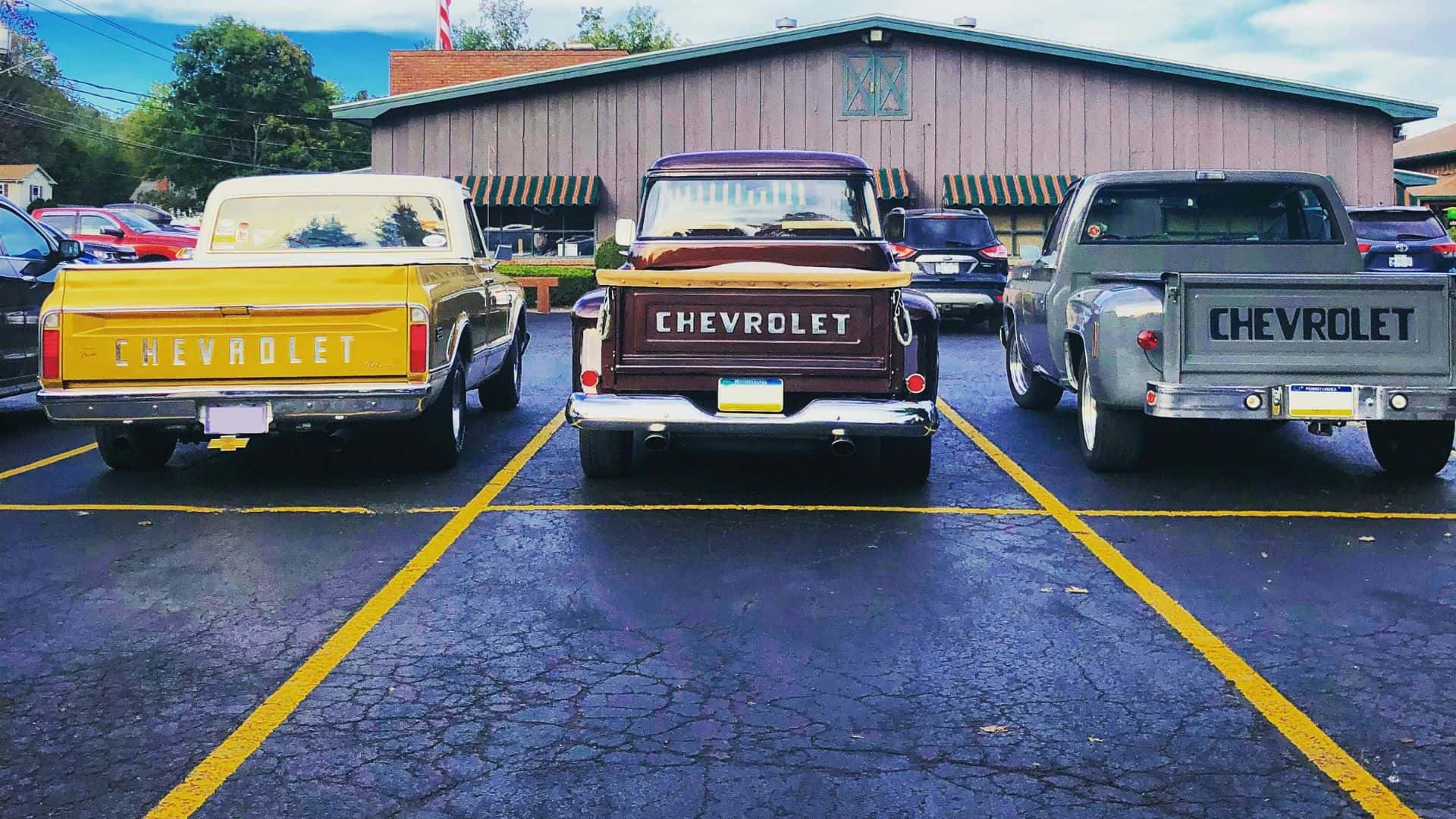 rear of pickup trucks