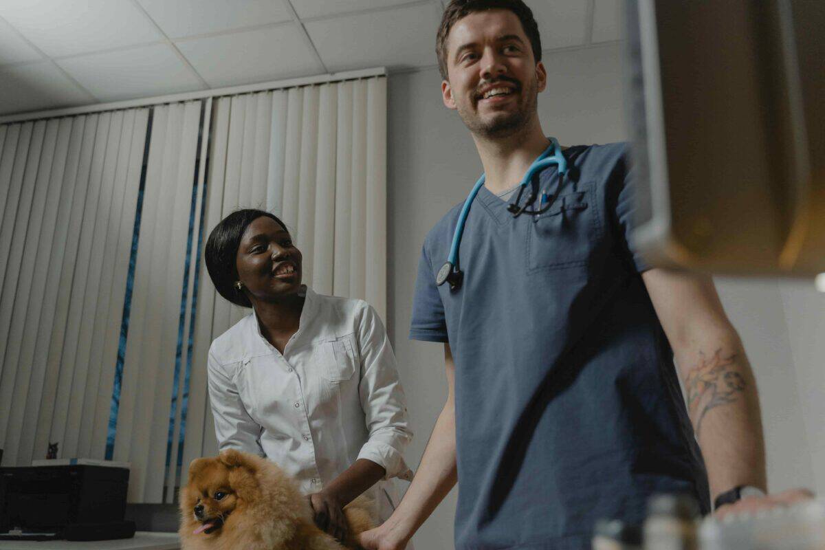 A dog at a veterinary clinic being prepared for a rabies vaccination.