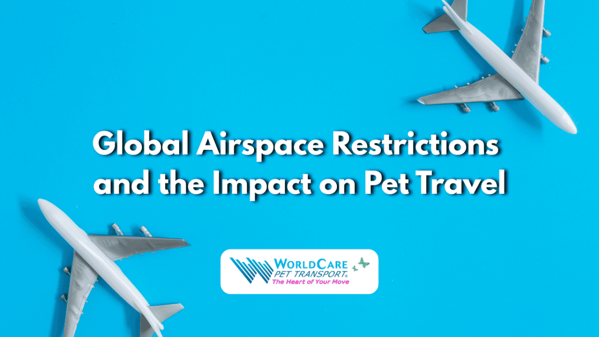 international pet travel restrictions, international pet transport, airline pet travel restrictions, flying pets internationally, global flight disruptions pets