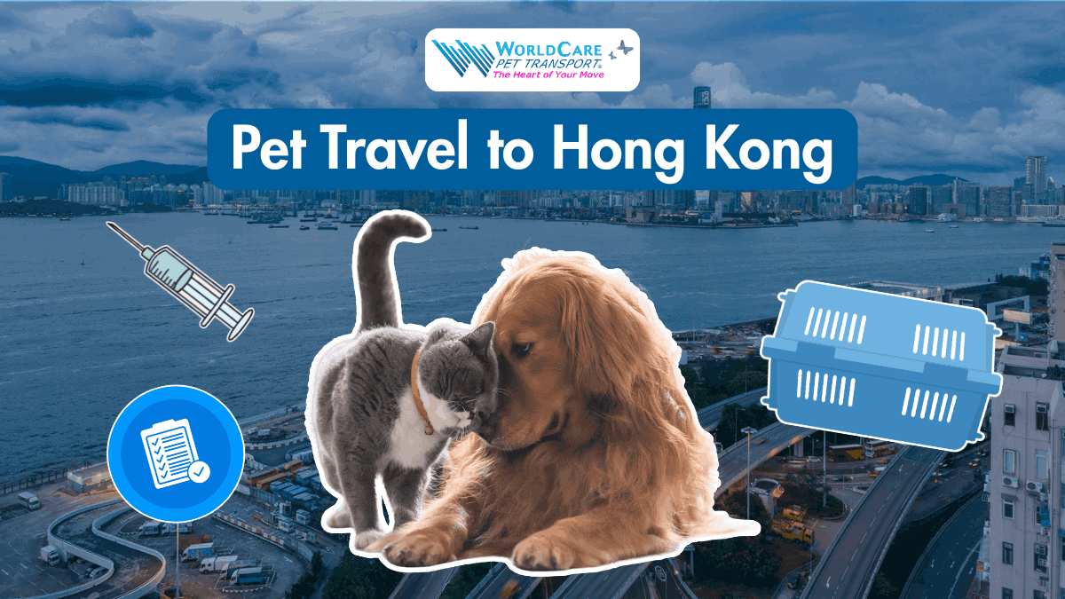 Featured image for Pet Travel to Hong Kong showing a dog and cat in front of the Hong Kong skyline with pet travel icons for documents, vaccination, and pet crate