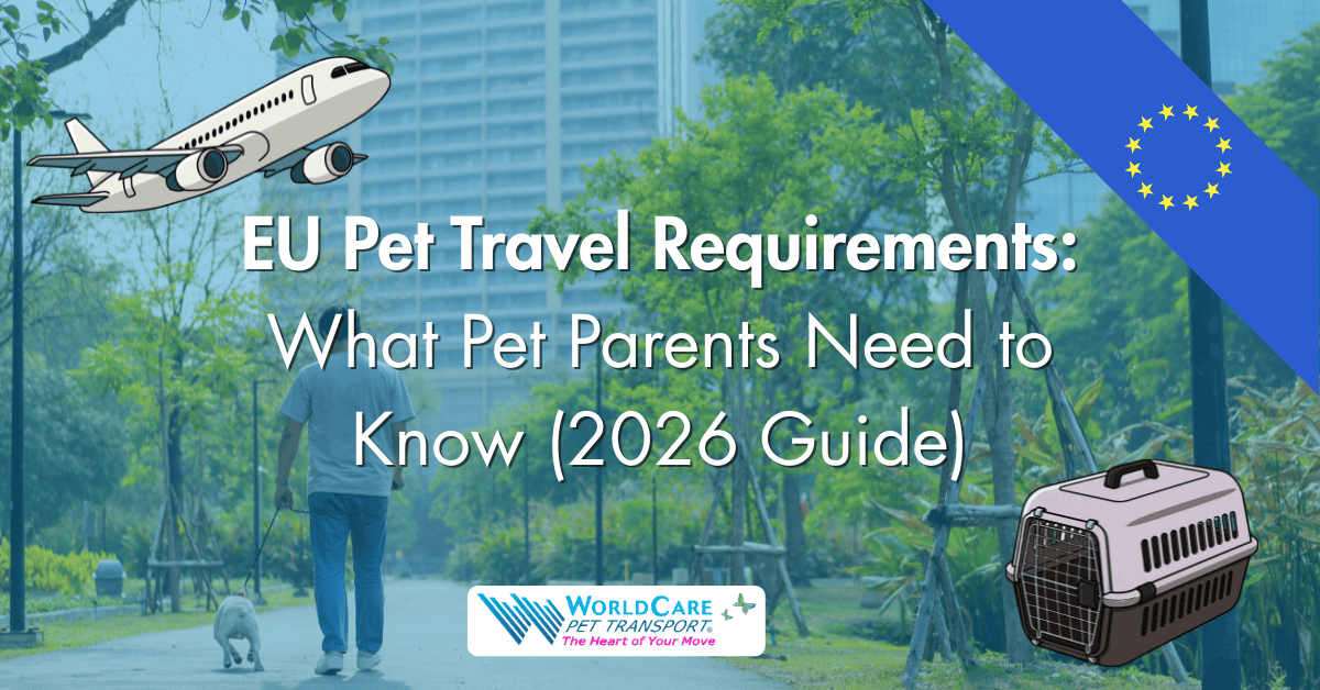 EU pet travel requirements, pet travel to Europe, move pet to Europe, pet relocation to Europe, requirements for pets to enter the EU