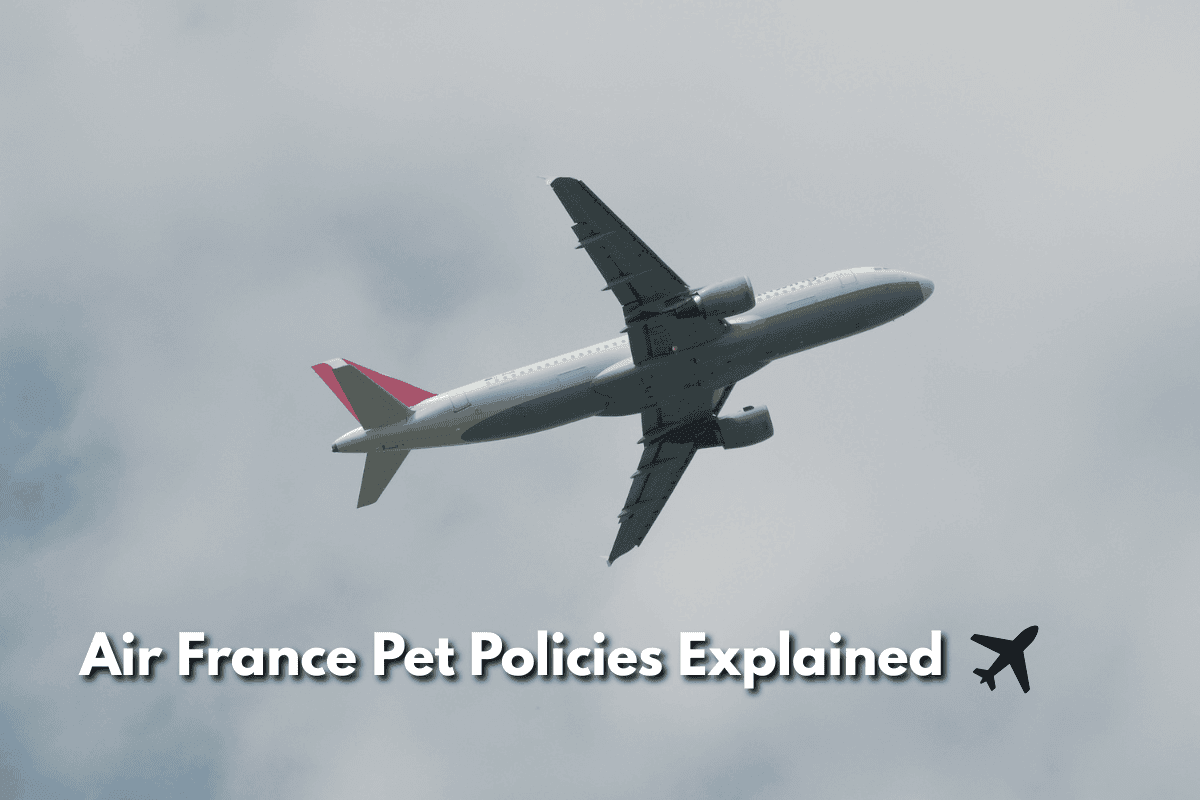 A jet climbing against a cloudy sky, banked to show its underside, with the title "Air France Pet Policies Explained" and an airplane icon overlaid at the bottom.