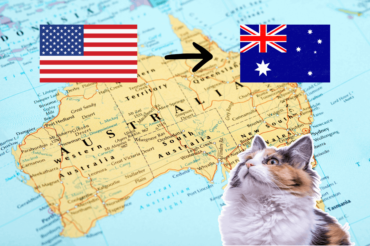 A calico cat looking up beside a map of Australia, with a US flag and an Australian flag connected by an arrow, illustrating a pet's move from the USA to Australia.
