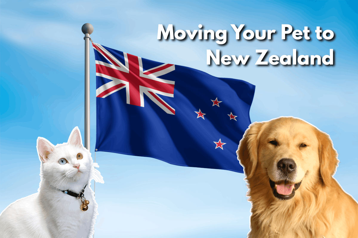 A white cat with mismatched blue and gold eyes and a golden retriever flank a waving New Zealand flag, with the title "Moving Your Pet to New Zealand."