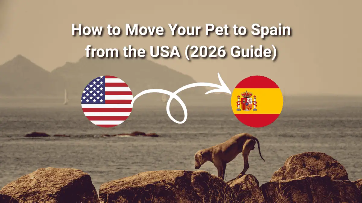 move your pet to Spain, USA to Spain pet import requirements, EU Health Certificate, rabies vaccination, customs clearance in Spain