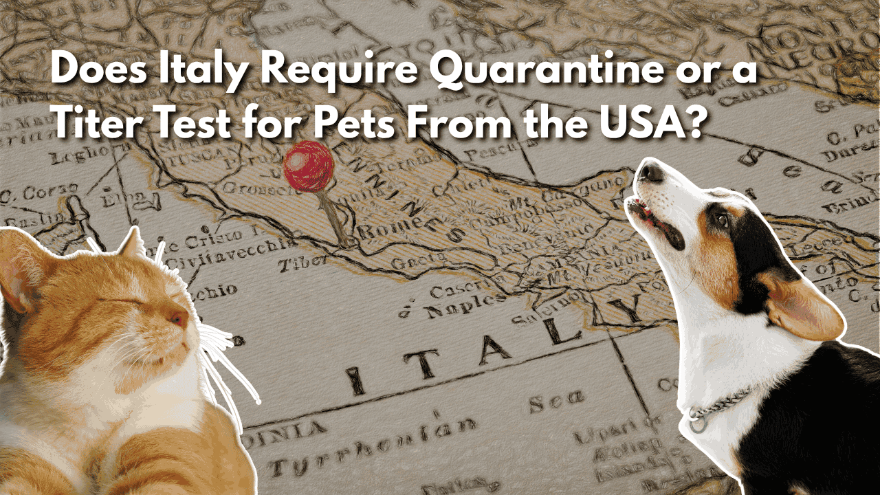Featured image for “Does Italy Require Quarantine or a Titer Test for Pets From the US?”