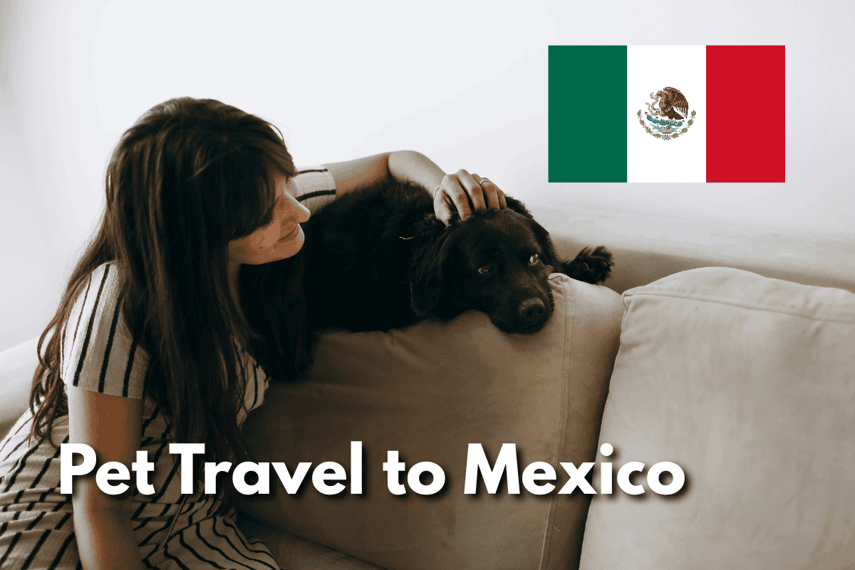 Woman cuddling with her black dog on a couch, with a Mexican flag graphic and text reading 'Pet Travel to Mexico'