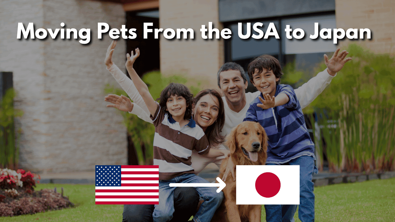 Featured image for “Moving Pets From the USA to Japan: The Complete Dog and Cat Relocation Guide”